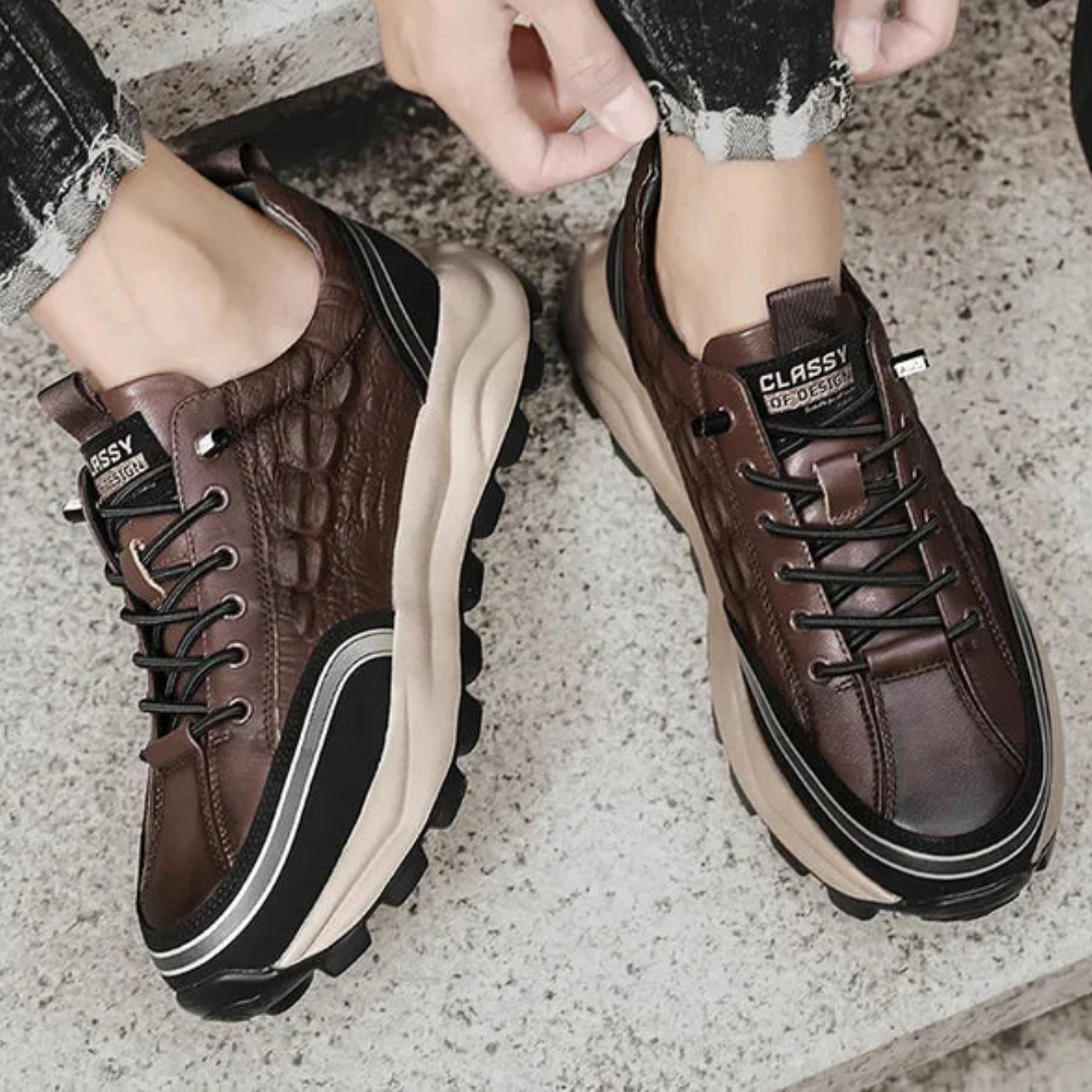 👞 ¡NUEVOS ZAPATOS MONTCLAIR™!