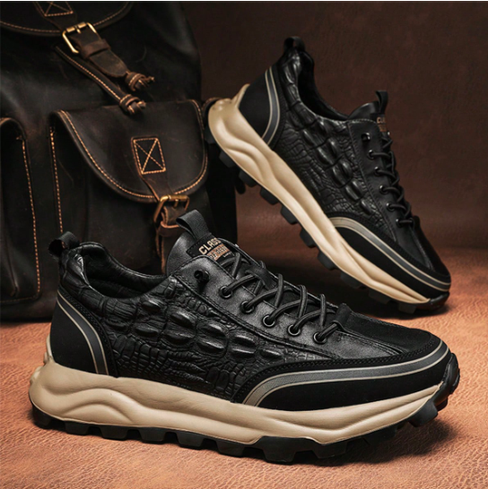 👞 ¡NUEVOS ZAPATOS MONTCLAIR™!
