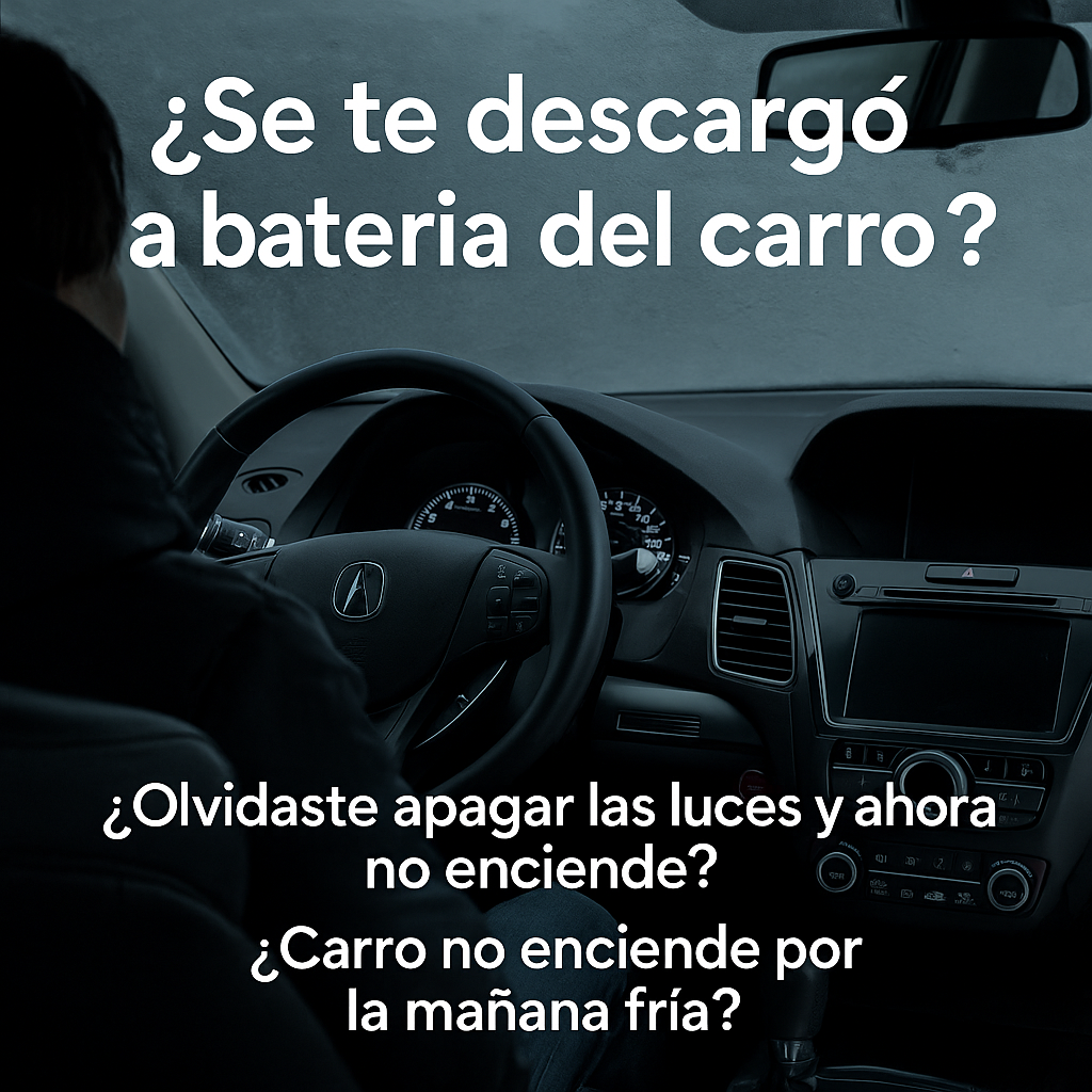Cargador Inteligente para Baterías 12V