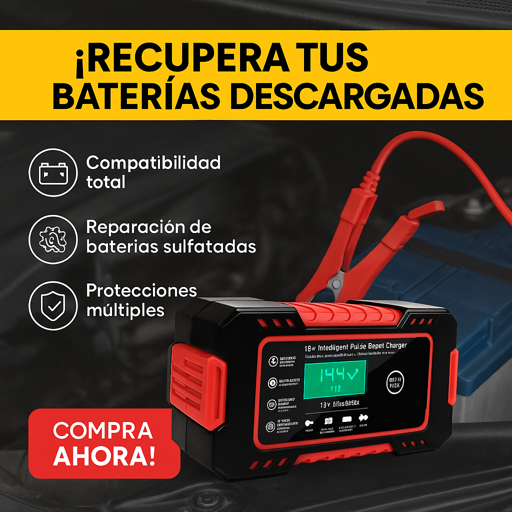 Cargador Inteligente para Baterías 12V
