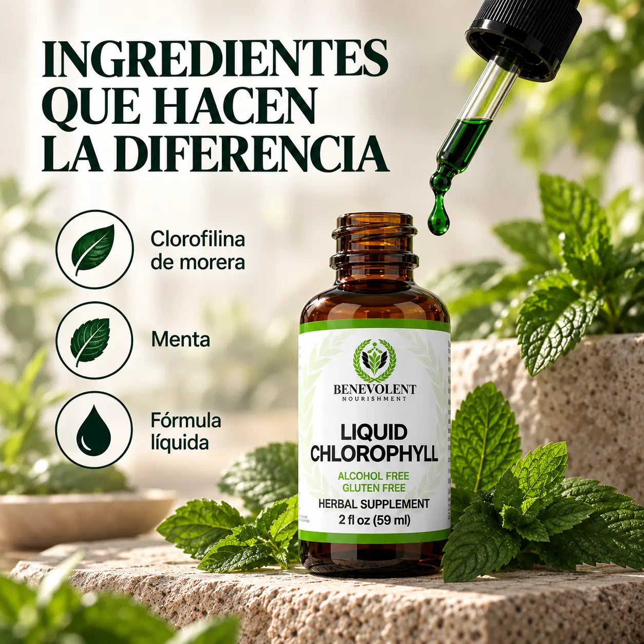 Frasco de clorofila líquida con menta, gotero y hojas frescas