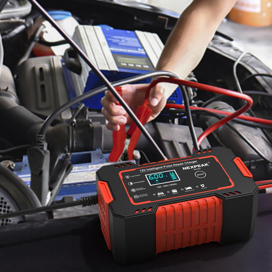 Cargador Inteligente para Baterías 12V