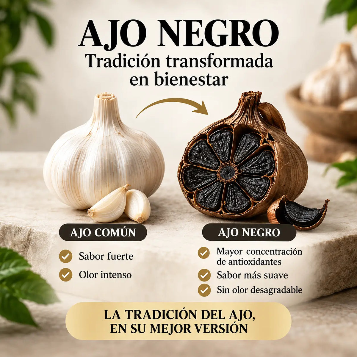 AUREVIA™ – Ajo Negro en Cápsulas