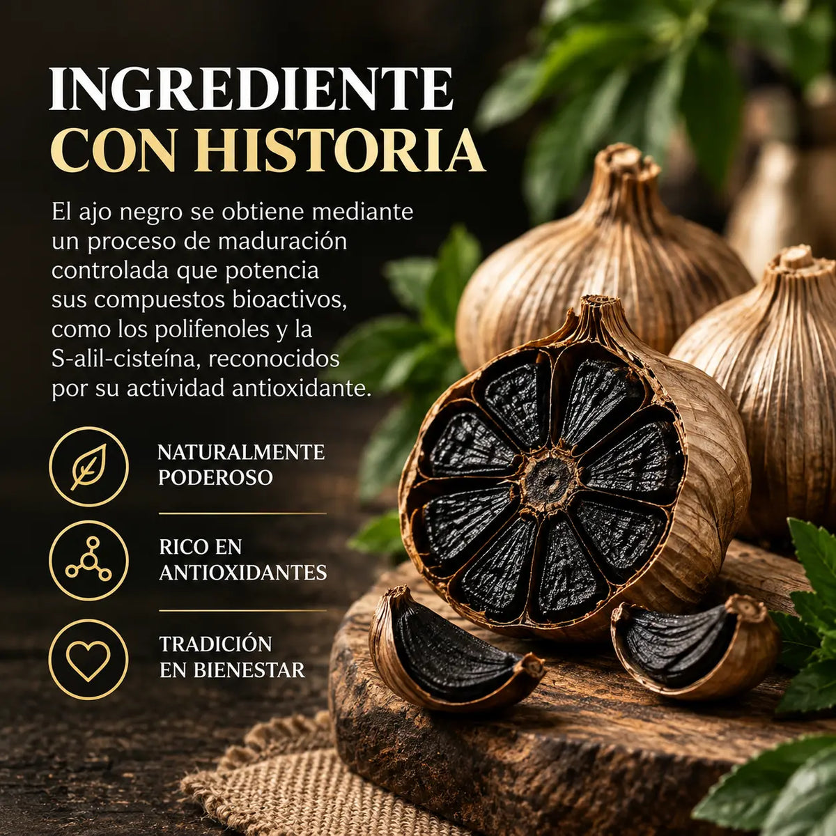 AUREVIA™ – Ajo Negro en Cápsulas