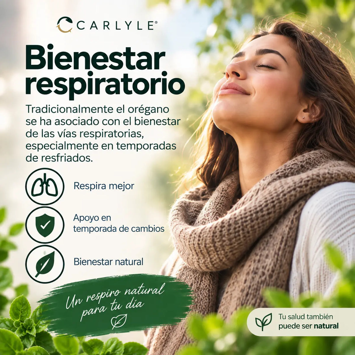 Organic Oil of Oregano
