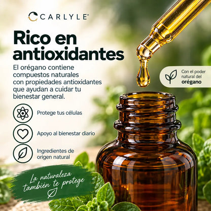 Organic Oil of Oregano