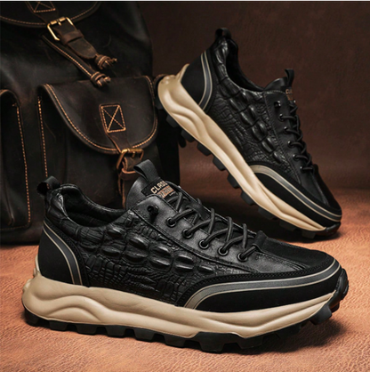 👞 ¡NUEVOS ZAPATOS MONTCLAIR™!