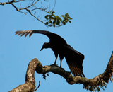 <p><em><strong>– Felipe G.</strong></em></p>