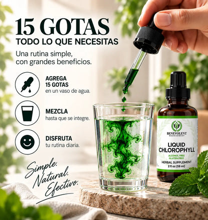 Liquid Chlorophyll™ – Clorofila Líquid