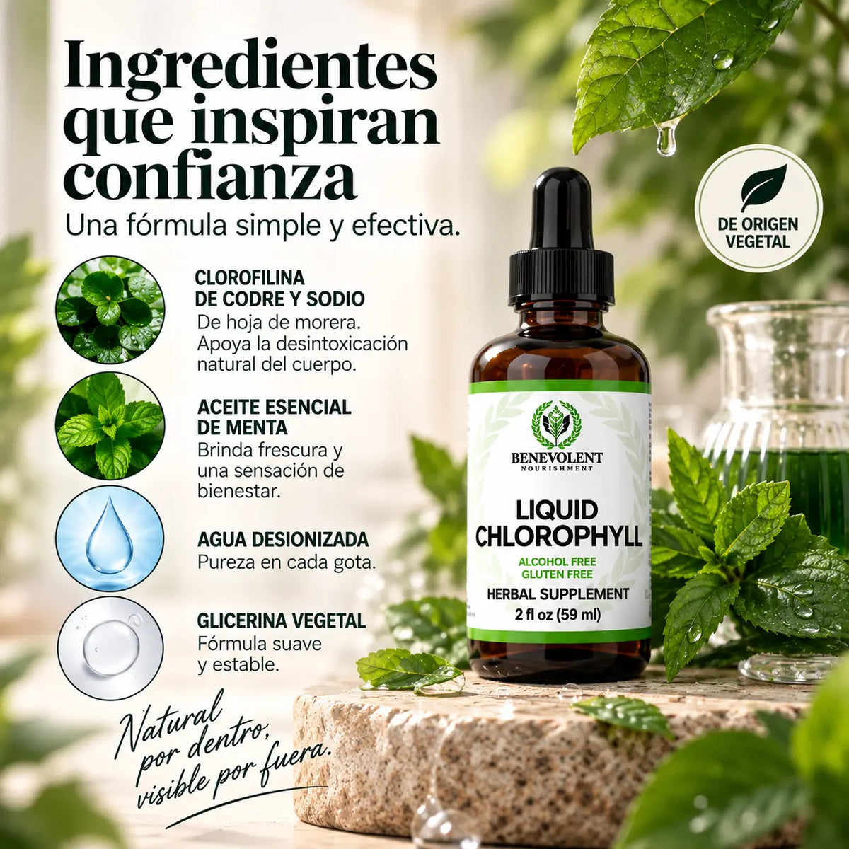 Liquid Chlorophyll™ – Clorofila Líquid