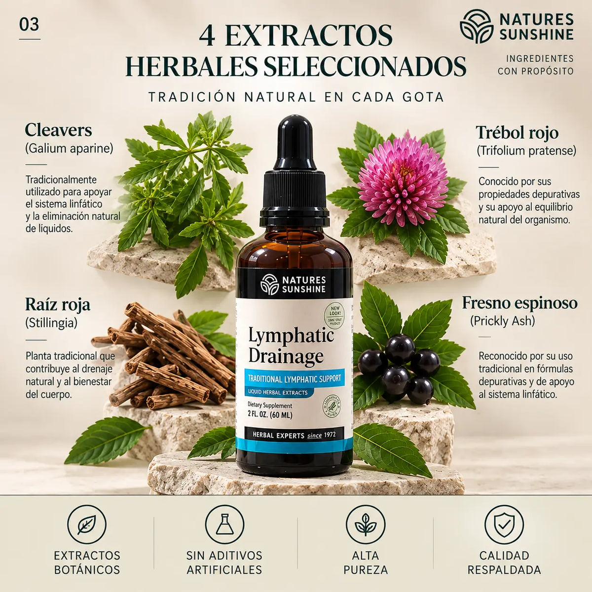 Lymphatic Drainage · gotas herbales